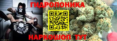 МДМА Новозыбков