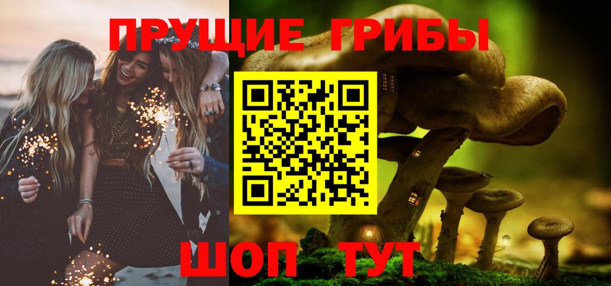 Псилоцибиновые грибы ЛСД Тайшет