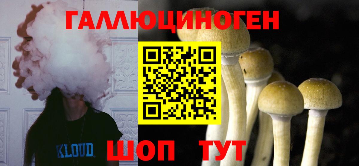 Тайшет  Псилоцибиновые грибы Psilocybine cubensis  Вход с VPN  Псилоцибиновые грибы прущие грибы 